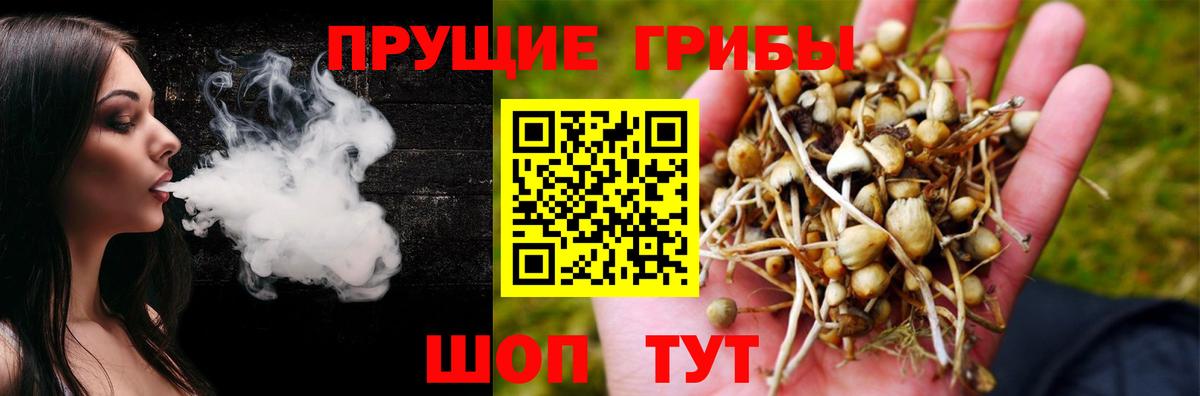 Псилоцибиновые грибы MAGIC MUSHROOMS  Галлюциногенные грибы ЛСД  Вход с VPN  Ульяновск 